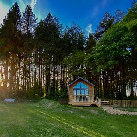 Cabin In The Woods - 1 Bedroom Lodge - Kilgetty Stepaside  Exteriör bild