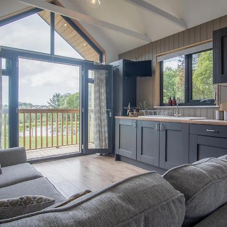Cabin In The Woods - 1 Bedroom Lodge - Kilgetty Stepaside  Exteriör bild