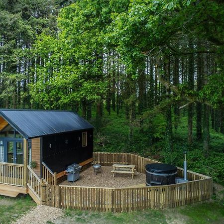 Cabin In The Woods - 1 Bedroom Lodge - Kilgetty Stepaside  Exteriör bild