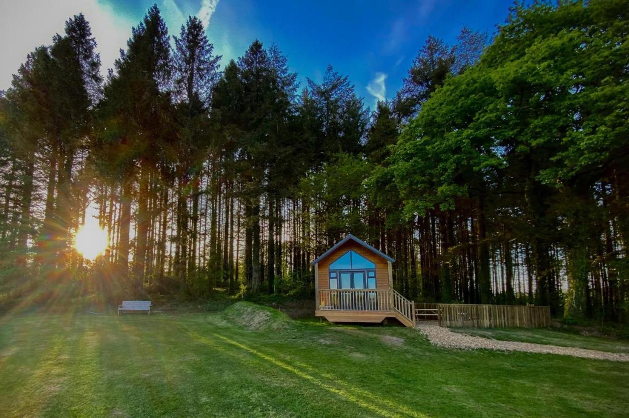 Cabin In The Woods - 1 Bedroom Lodge - Kilgetty Stepaside  Exteriör bild