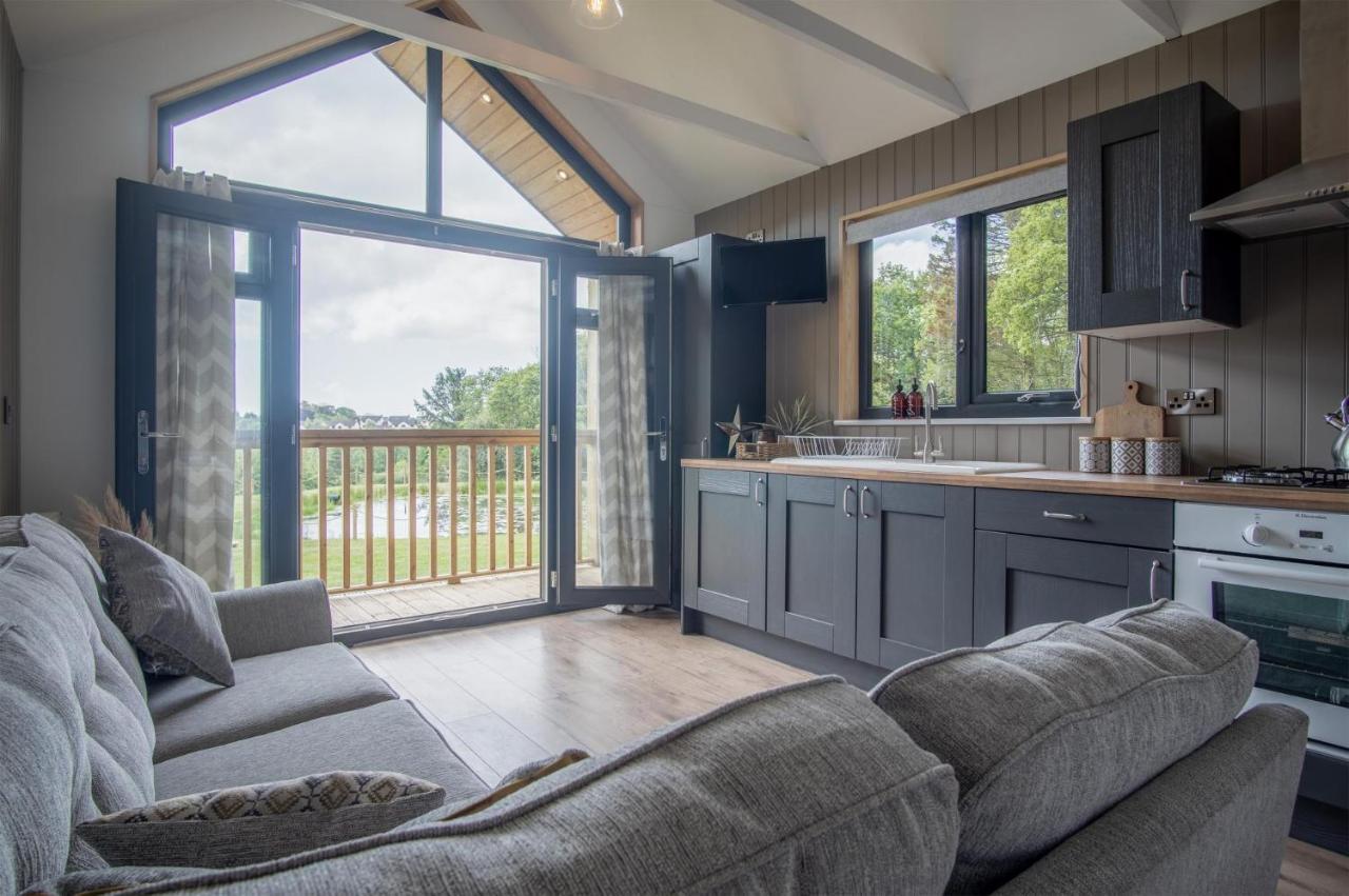 Cabin In The Woods - 1 Bedroom Lodge - Kilgetty Stepaside  Exteriör bild