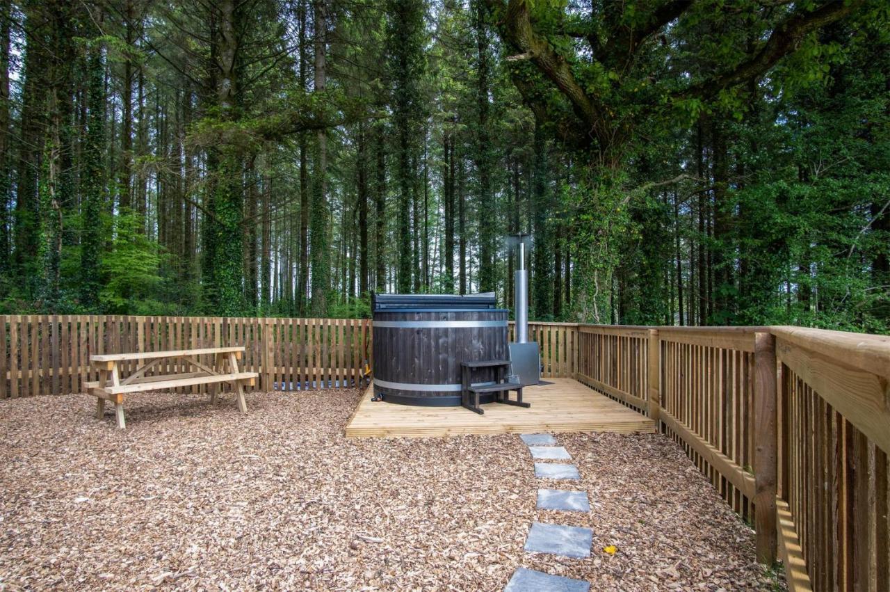 Cabin In The Woods - 1 Bedroom Lodge - Kilgetty Stepaside  Exteriör bild