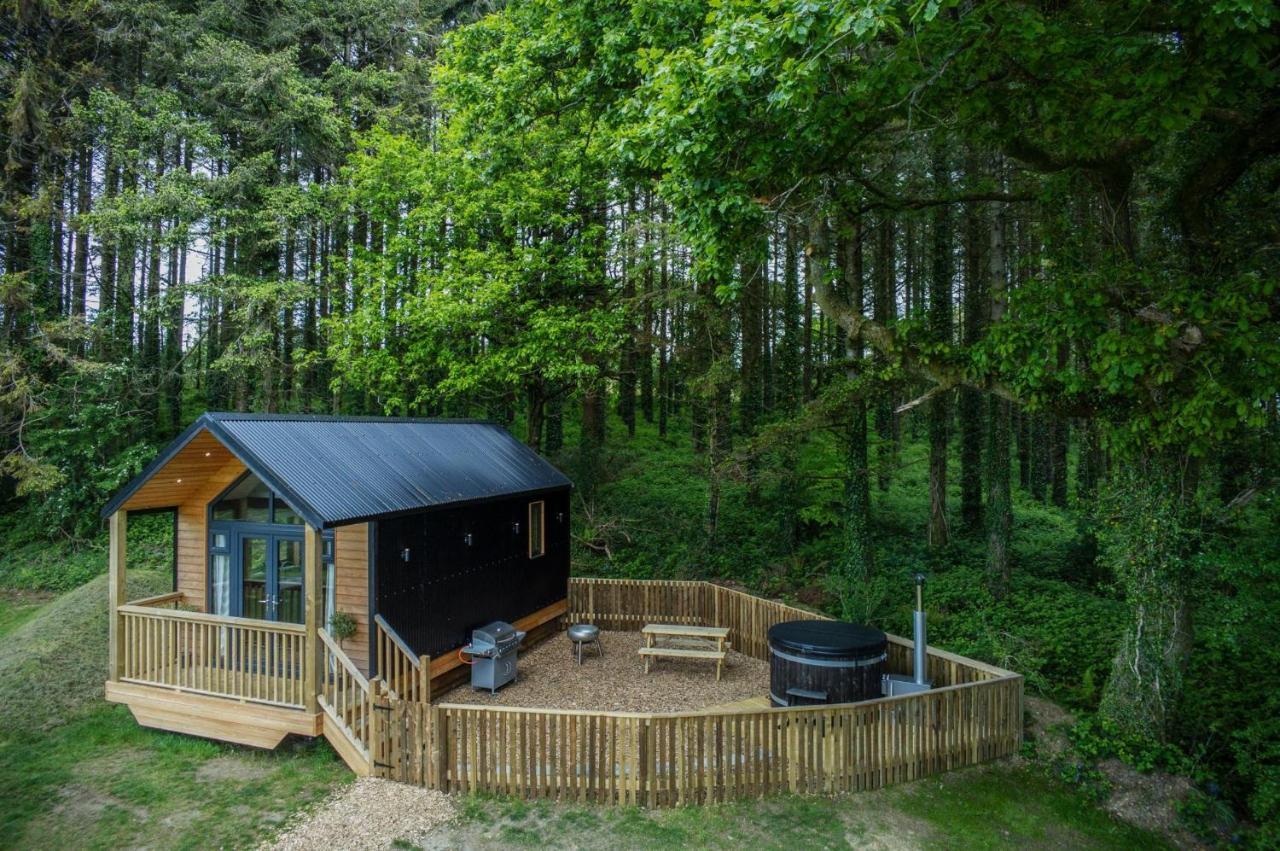 Cabin In The Woods - 1 Bedroom Lodge - Kilgetty Stepaside  Exteriör bild