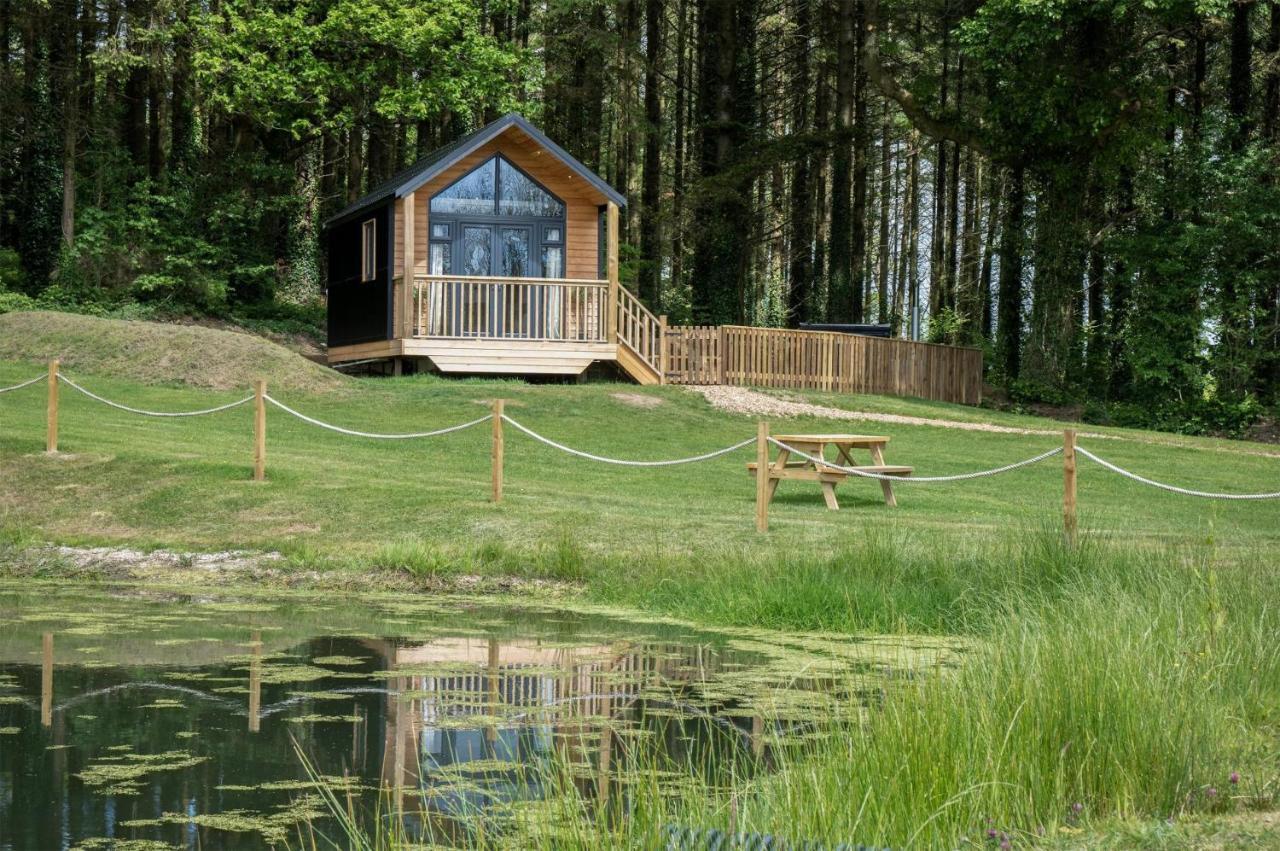 Cabin In The Woods - 1 Bedroom Lodge - Kilgetty Stepaside  Exteriör bild