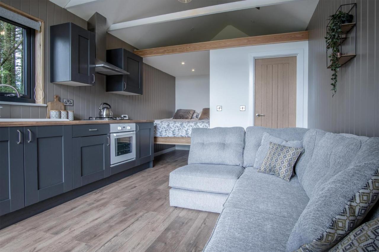 Cabin In The Woods - 1 Bedroom Lodge - Kilgetty Stepaside  Exteriör bild