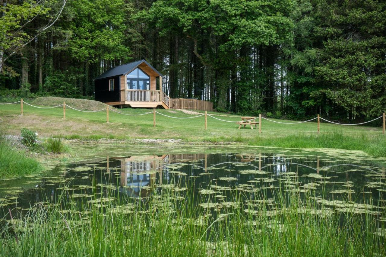 Cabin In The Woods - 1 Bedroom Lodge - Kilgetty Stepaside  Exteriör bild