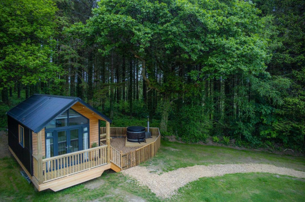 Cabin In The Woods - 1 Bedroom Lodge - Kilgetty Stepaside  Exteriör bild