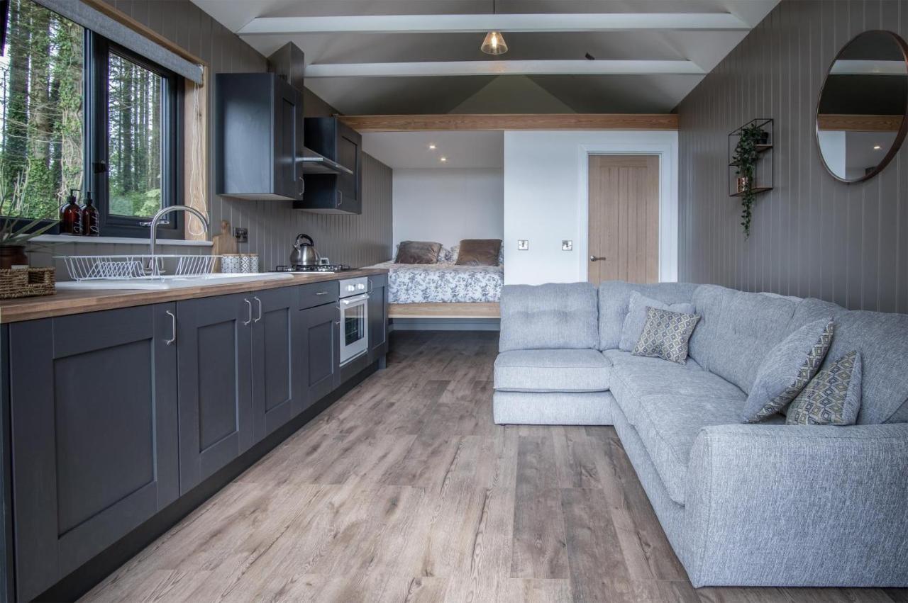 Cabin In The Woods - 1 Bedroom Lodge - Kilgetty Stepaside  Exteriör bild