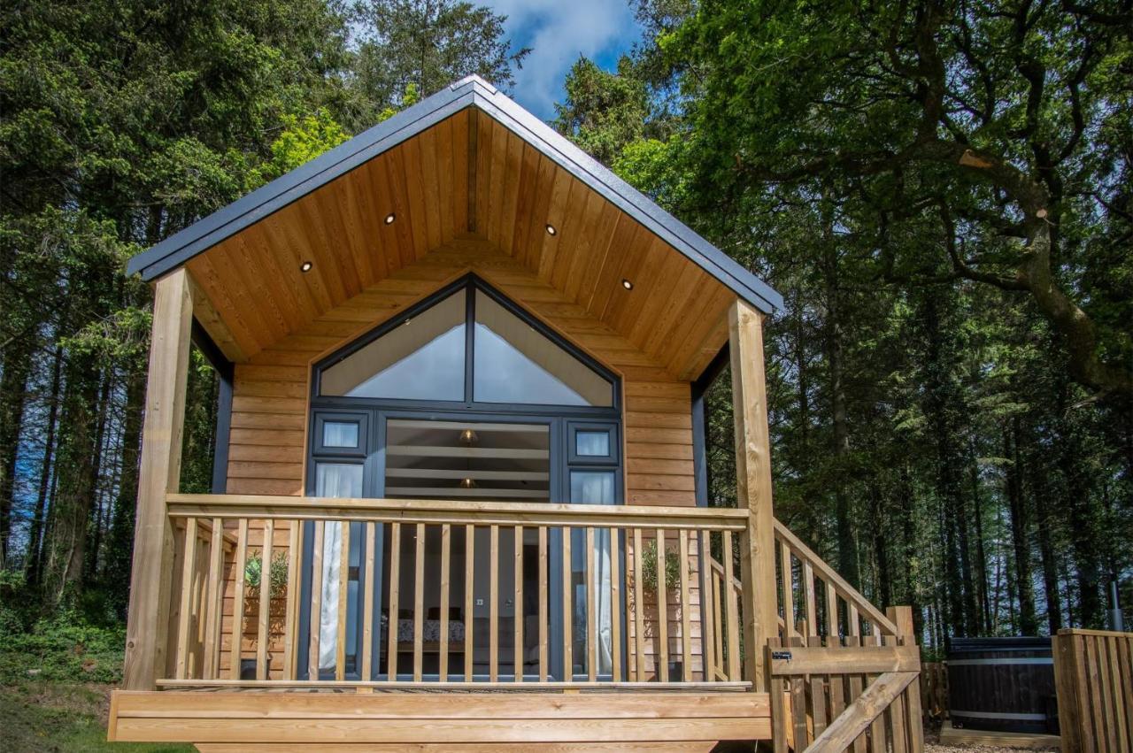 Cabin In The Woods - 1 Bedroom Lodge - Kilgetty Stepaside  Exteriör bild