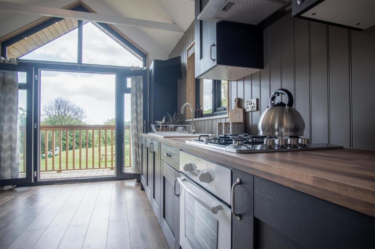 Cabin In The Woods - 1 Bedroom Lodge - Kilgetty Stepaside  Exteriör bild
