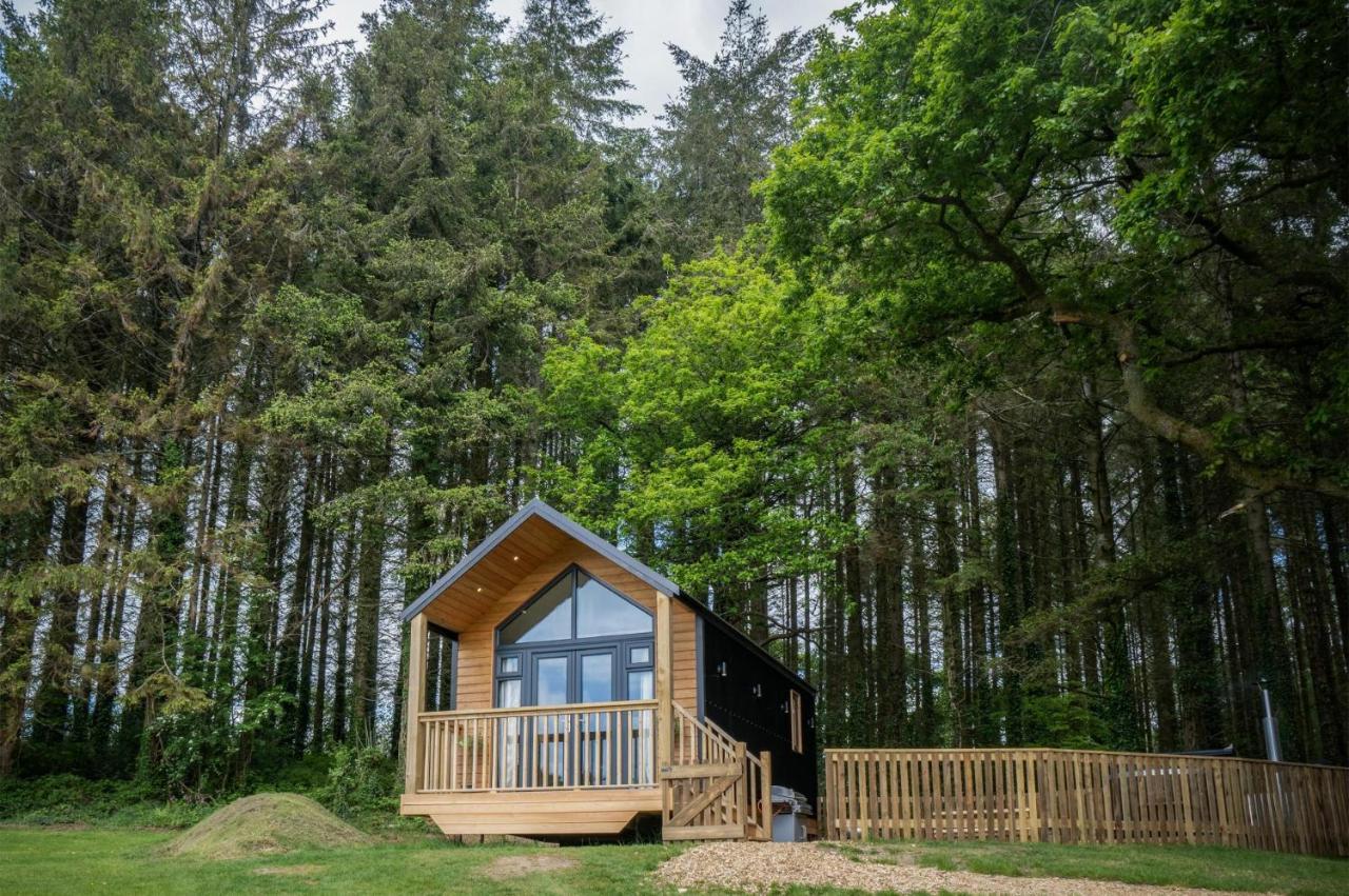 Cabin In The Woods - 1 Bedroom Lodge - Kilgetty Stepaside  Exteriör bild
