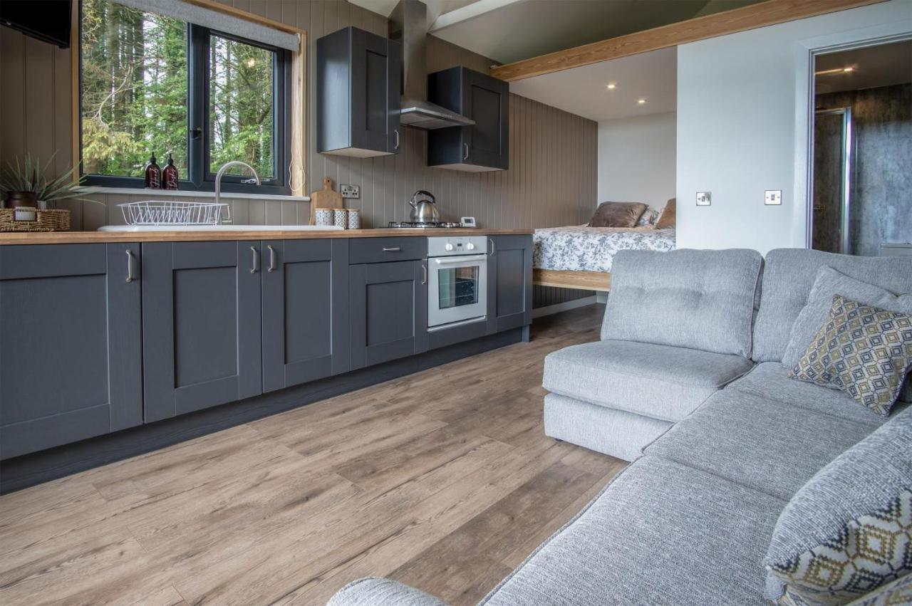 Cabin In The Woods - 1 Bedroom Lodge - Kilgetty Stepaside  Exteriör bild