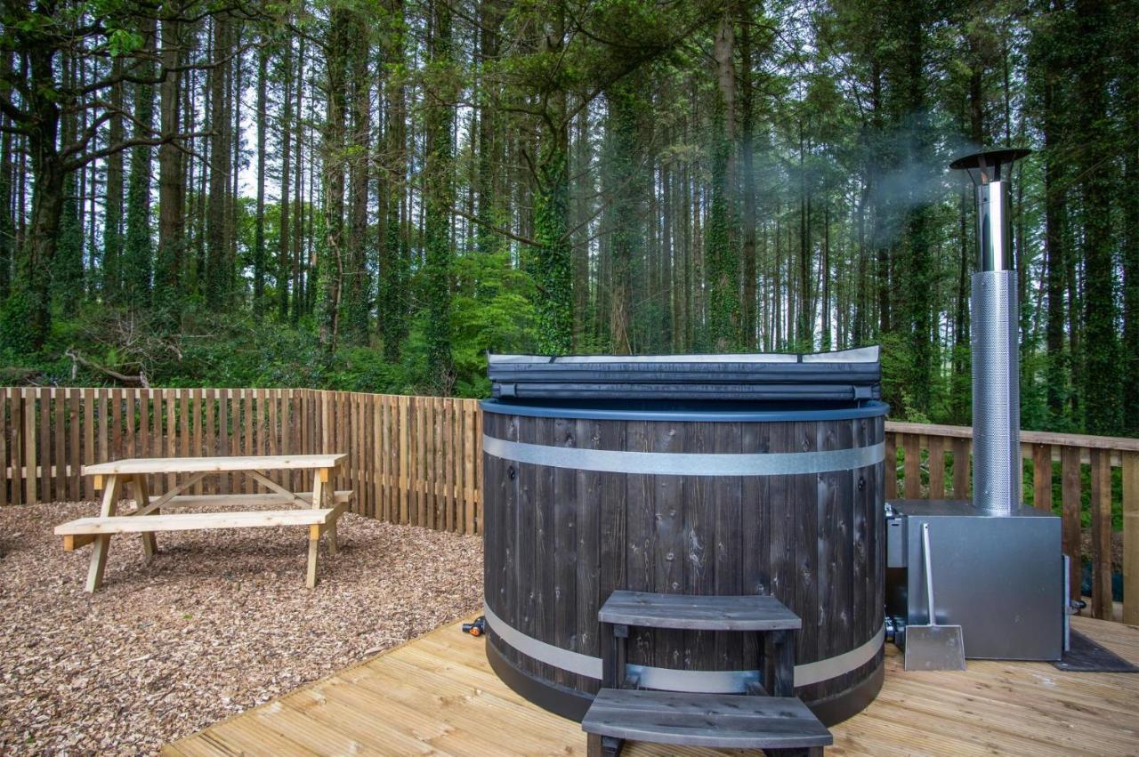 Cabin In The Woods - 1 Bedroom Lodge - Kilgetty Stepaside  Exteriör bild