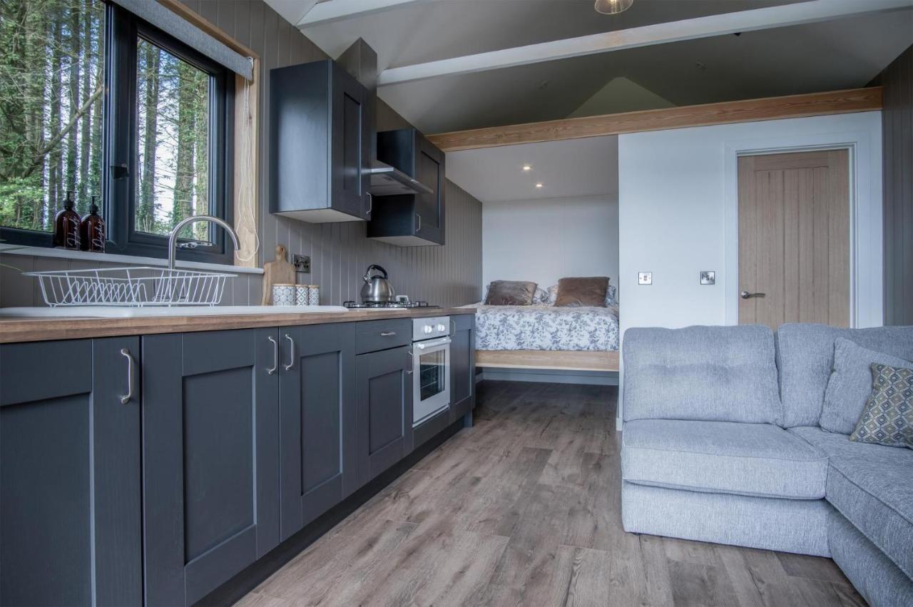 Cabin In The Woods - 1 Bedroom Lodge - Kilgetty Stepaside  Exteriör bild
