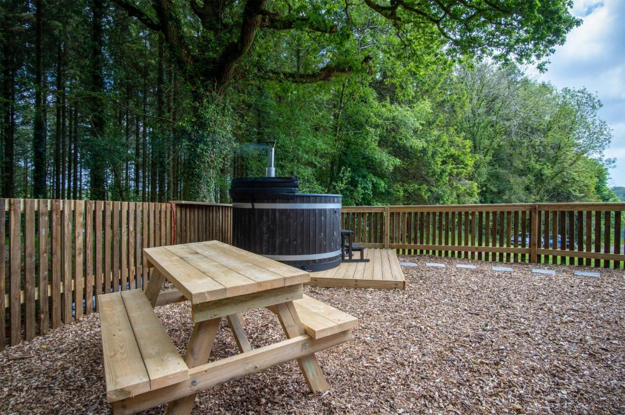 Cabin In The Woods - 1 Bedroom Lodge - Kilgetty Stepaside  Exteriör bild