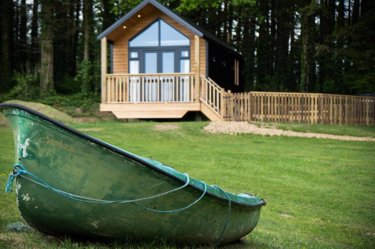 Cabin In The Woods - 1 Bedroom Lodge - Kilgetty Stepaside  Exteriör bild