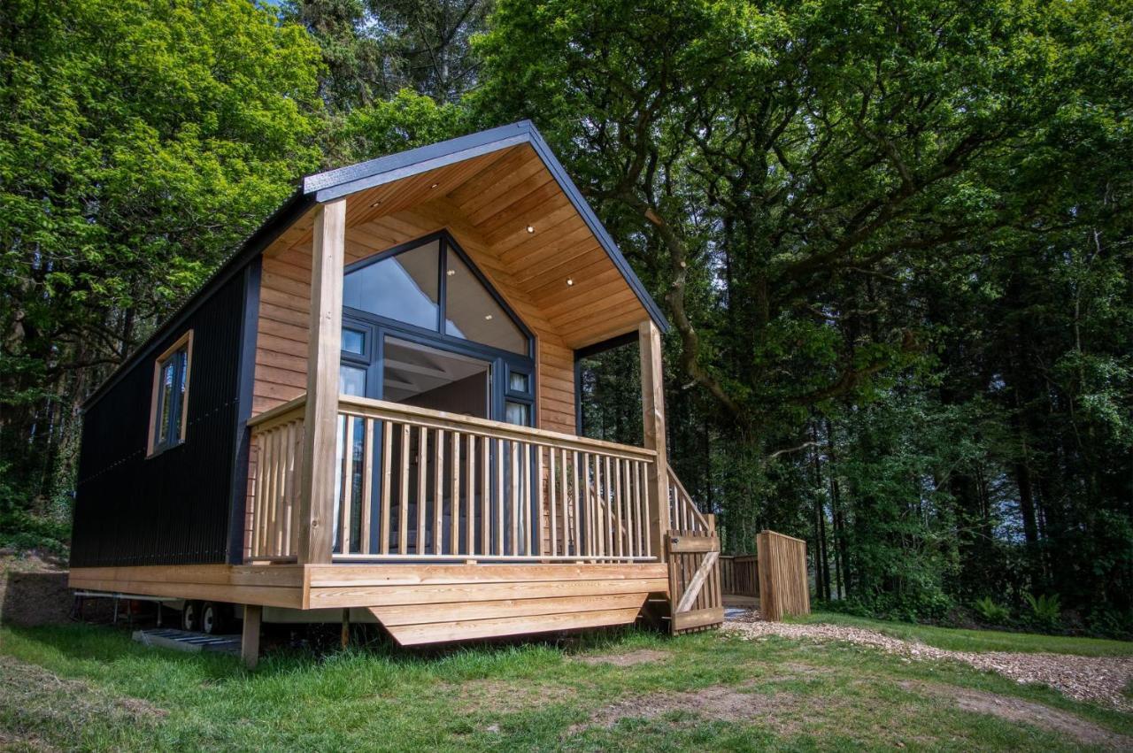 Cabin In The Woods - 1 Bedroom Lodge - Kilgetty Stepaside  Exteriör bild